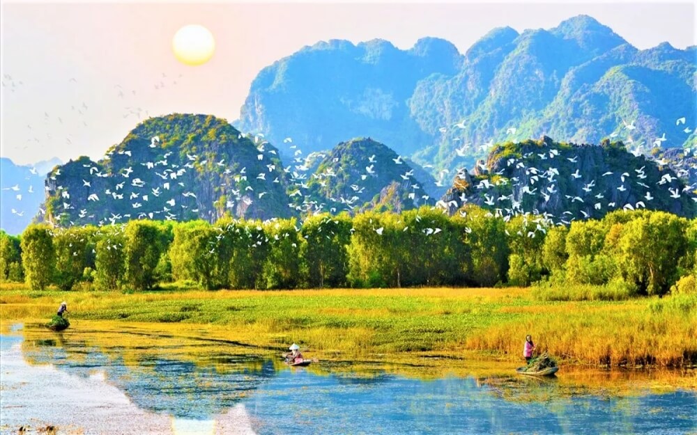 Vườn Chim Thung Nham